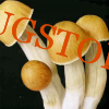 B+ Cubensis Mushroom Spores