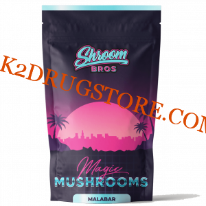 Malabar magic mushrooms