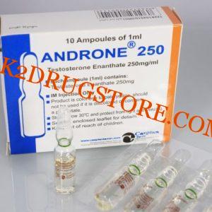 Androne 250