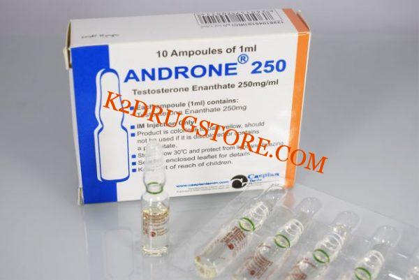 Androne 250
